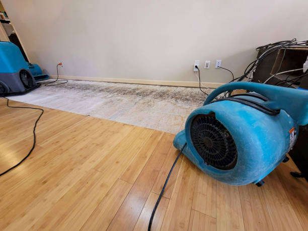 Professional Sewage Cleanup technician working in Caddo, TX
